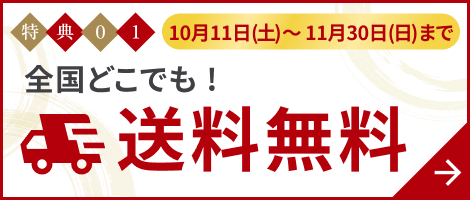 ネット限定全国どこでも送料無料